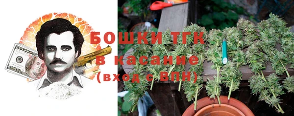 трава Беломорск